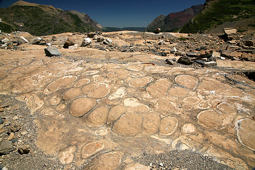 Glacier National Park 
Stromatolites, Grinnell Glacier
