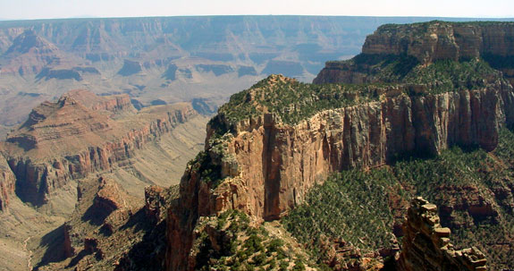 Grand Canyon National Park North Rim 
Wotans Throne