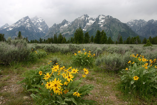 Grand Teton National Park