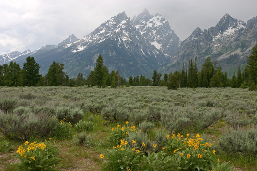 Grand Teton National Park