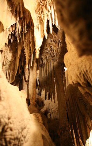 Graet Basin National Park 
Lehman Caves