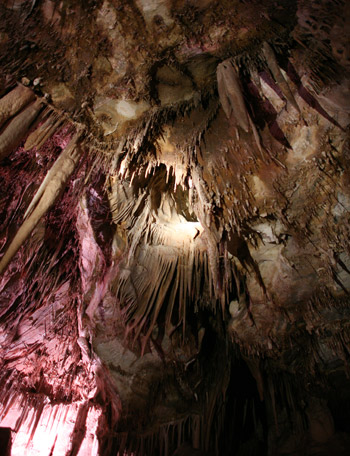Graet Basin National Park 
Lehman Caves