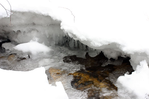 Graet Basin National Park 
Winter 06