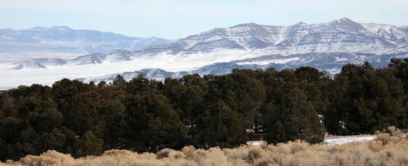 Great Basin National Park 
Winter 06