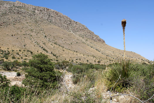 Guadalupe Mountains National ParkDevils Hall