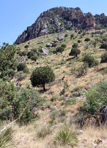 Guadalupe Mountains National ParkDevils Hall