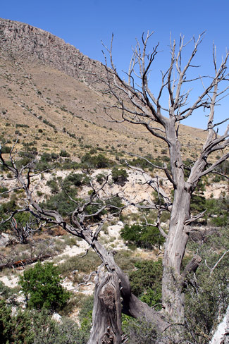 Guadalupe Mountains National ParkDevils Hall