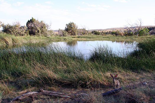 Guadalupe Mountains National ParkSmith Spring Trail