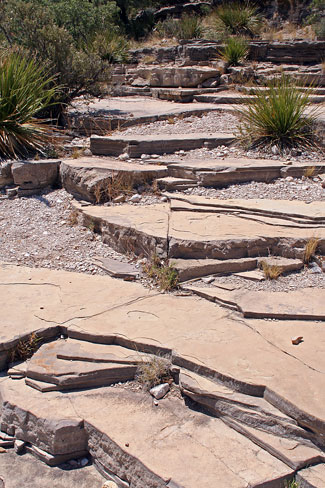 Guadalupe Mountains National ParkMcKittrick Canyon Trail