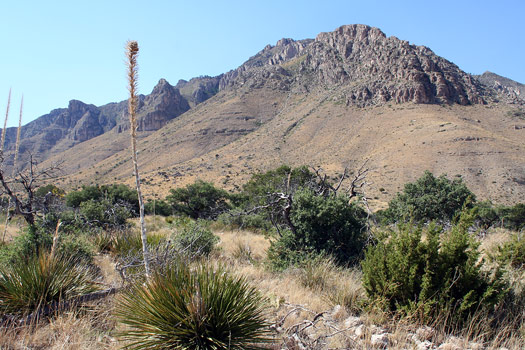 Guadalupe Mountains National ParkPinery Trail