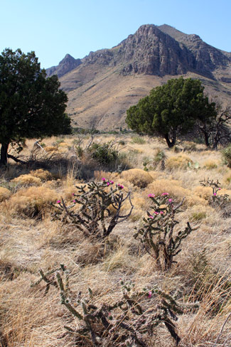 Guadalupe Mountains National ParkPinery Trail