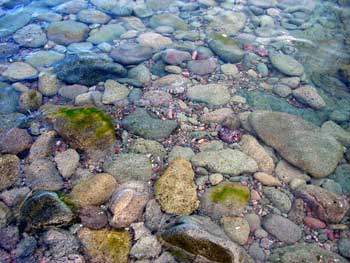 Isle Royale National Park Scoville Trail