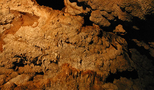 Jewel Cave