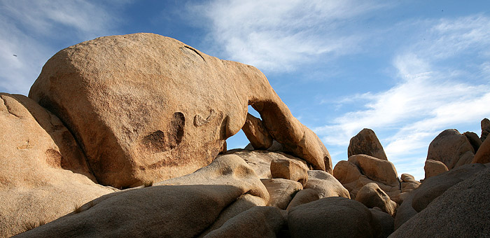 Joshua Tree National Park 
Arch Rock