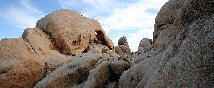 Joshua Tree National Park 
Arch Rock