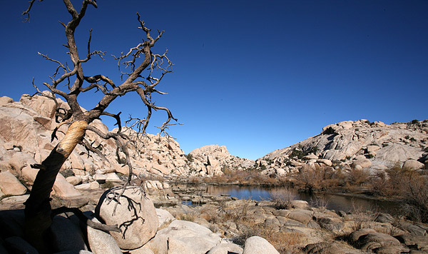 Joshua Tree National Park 
Barker Dam