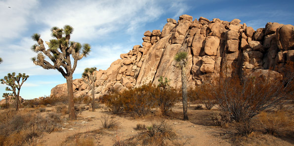 Joshua Tree National Park 
Joshua Tree