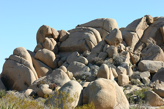 Joshua Tree National Park 
Jumbo Rocks