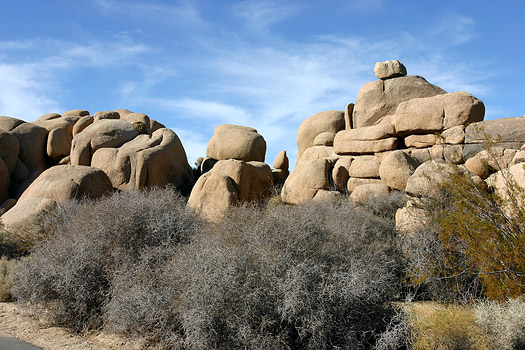 Joshua Tree National Park 
Jumbo Rocks