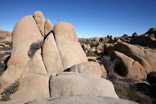 Joshua Tree National Park 
Jumbo Rocks