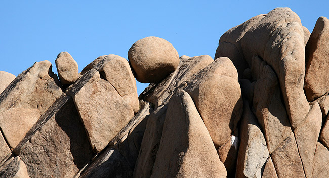 Joshua Tree National Park 
Jumbo Rocks