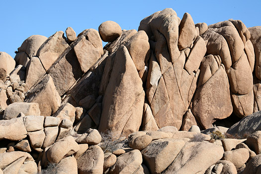 Joshua Tree National Park 
Jumbo Rocks