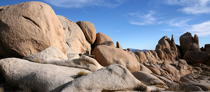 Joshua Tree National Park 
Rocks