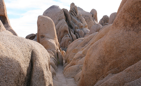 Joshua Tree National Park 
Rocks