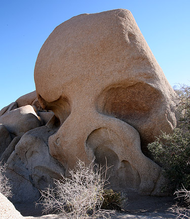 Joshua Tree National Park 
Skull Rock
