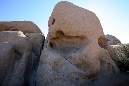 Joshua Tree National Park 
Skull Rock