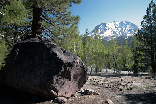 Lassen Volcanic National Park 
Devastated Area