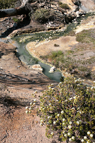 Lassen Volcanic National Park 
Devils Kitchen