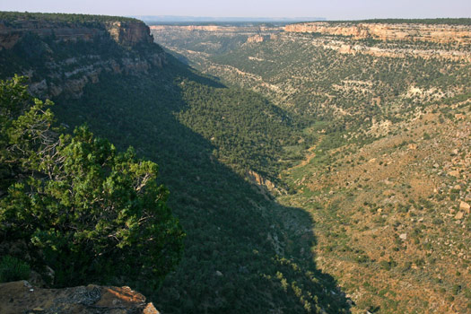 Mesa Verde National Park