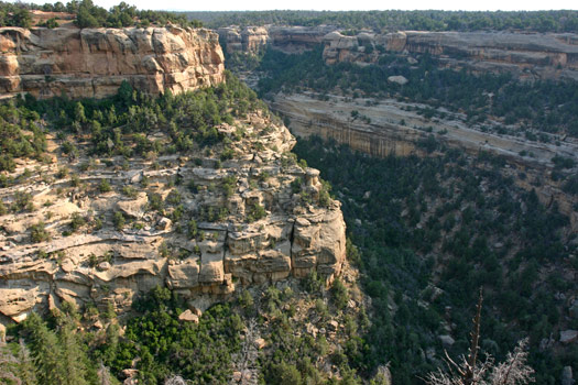 Mesa Verde National Park