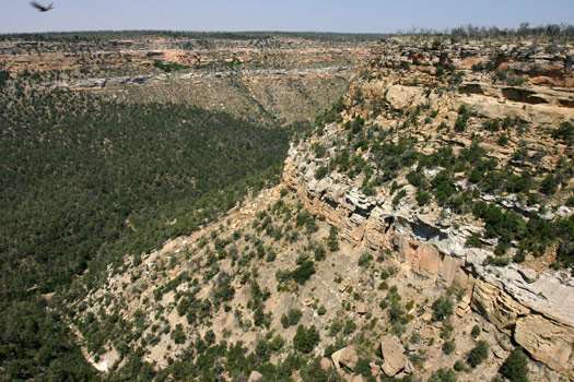 Mesa Verde National Park