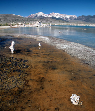 Mono Lake