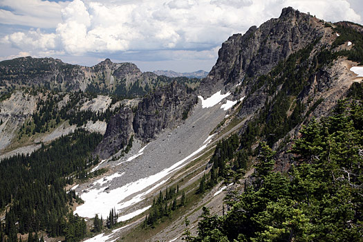 Mount Rainier National Park 
Huckleberry Basin from Sourdough Ridge