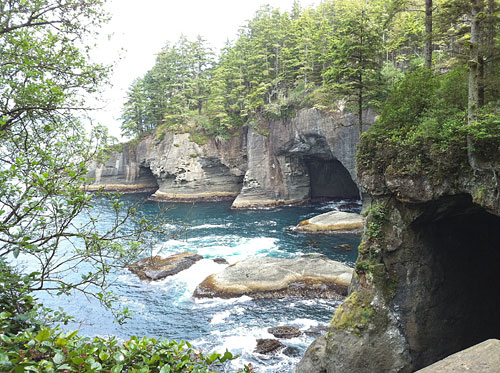 Olympic National Park 
Cape Flattery