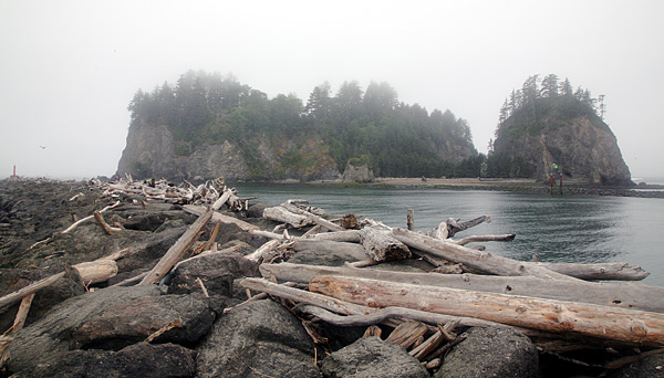 Olympic National Park 
Beach at La Push