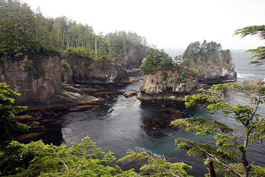 Olympic National Park 
Cape Flattery
