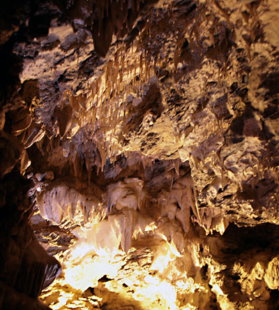 Oregon Caves National Monument