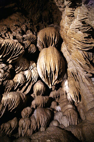 Oregon Caves National Monument