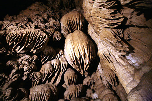 Oregon Caves National Monument