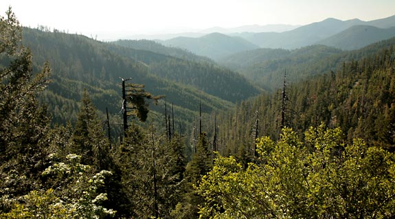 Oregon Caves National Monument