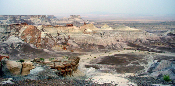 Petrified Forest National Park 
Blue Mesa