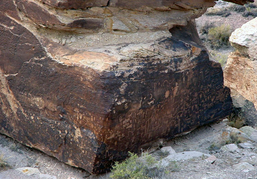 Petrified Forest National Park 
Newspaper Rock