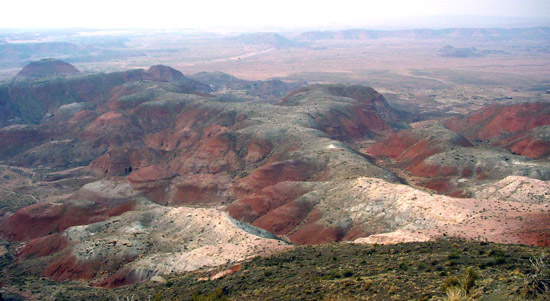 Petrified Forest National Park 
Painted Desert