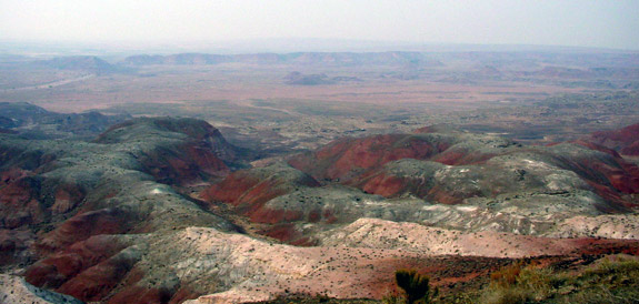 Petrified Forest National Park 
Painted Desert