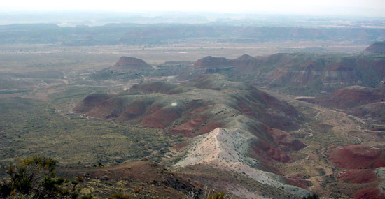 Petrified Forest National Park 
Painted Desert