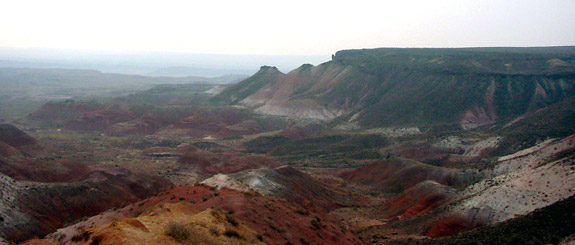 Petrified Forest National Park 
Painted Desert